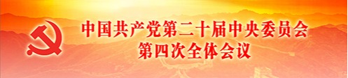学习贯彻党的二十届四中全会精神