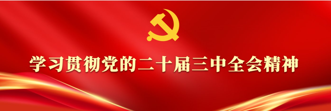 学习贯彻党的二十届三中全会精神